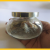 ASLI-LOBAN-PURE