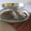 ASLI-LOBAN-PURE