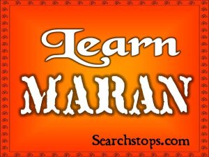 learn_maran